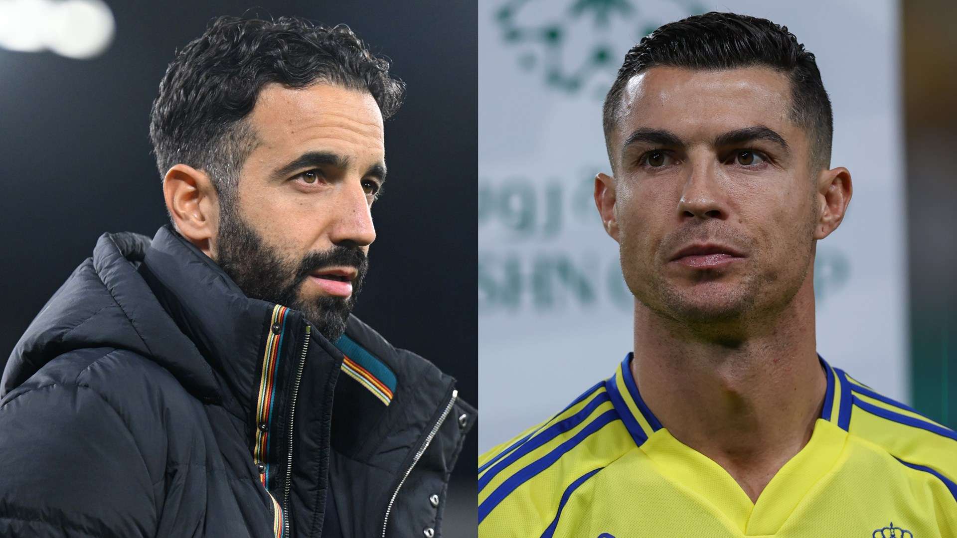 将所有努力 将所有努力