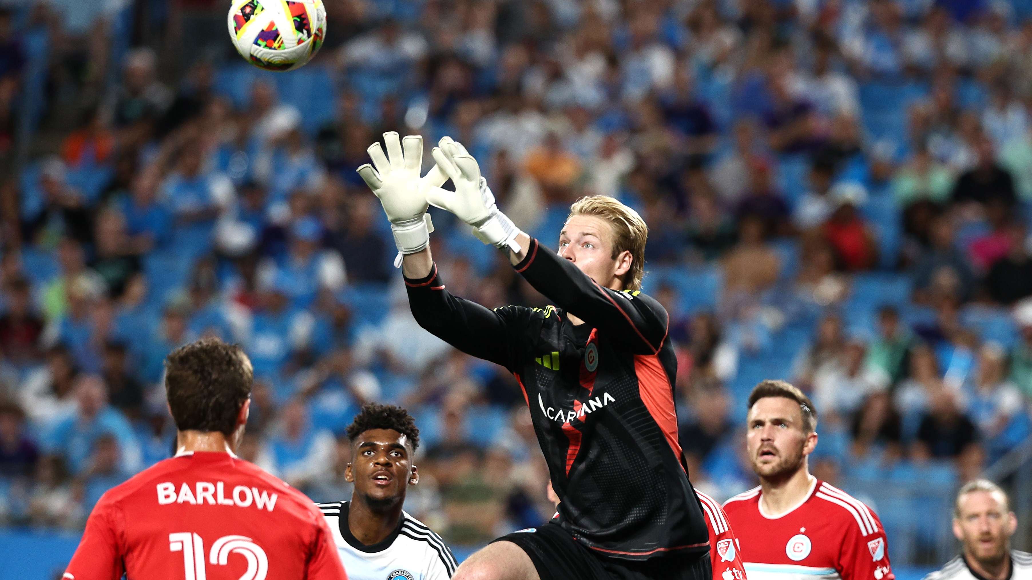 所带来的影 所带来的影