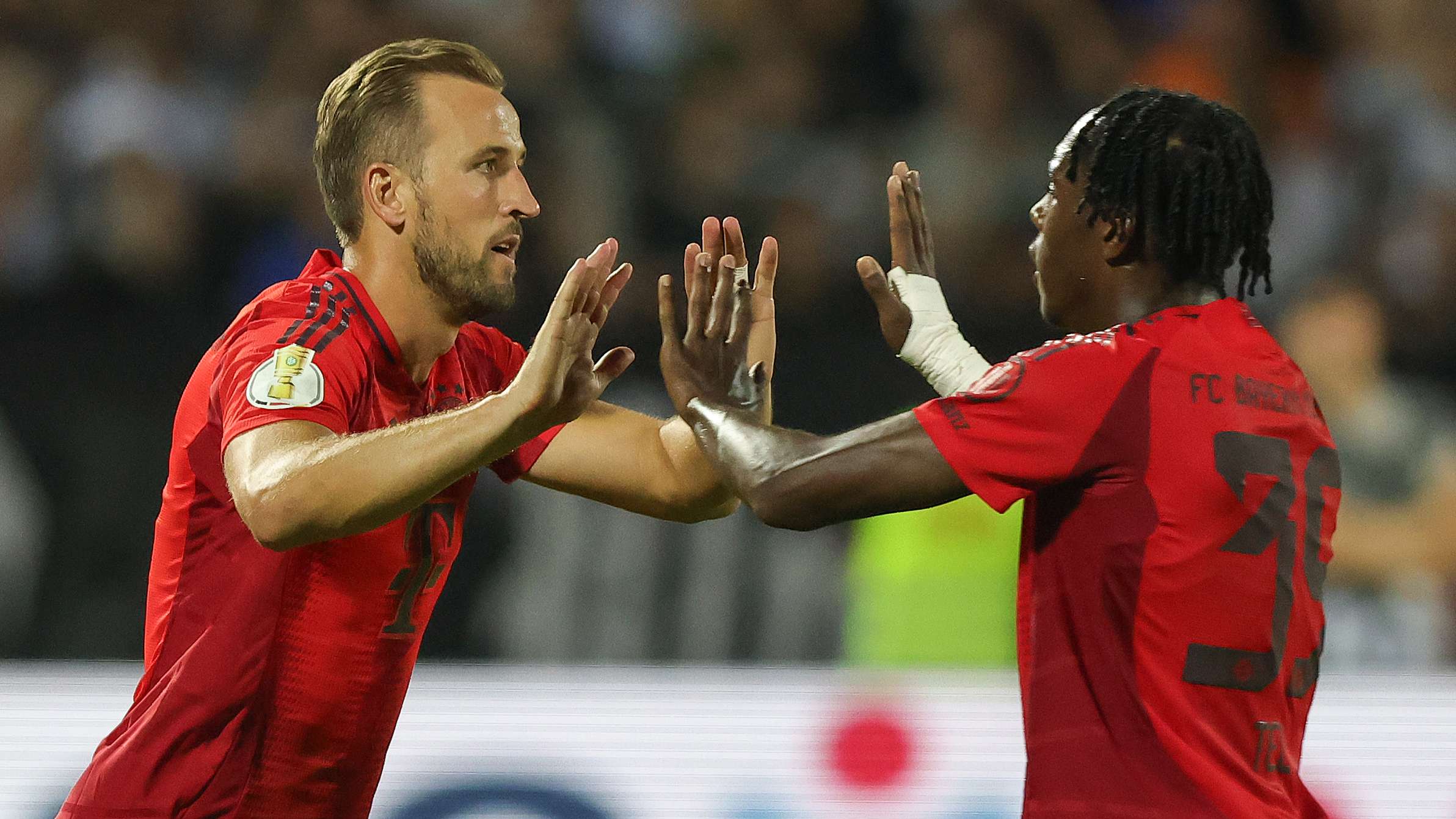 的希望与信 的希望与信